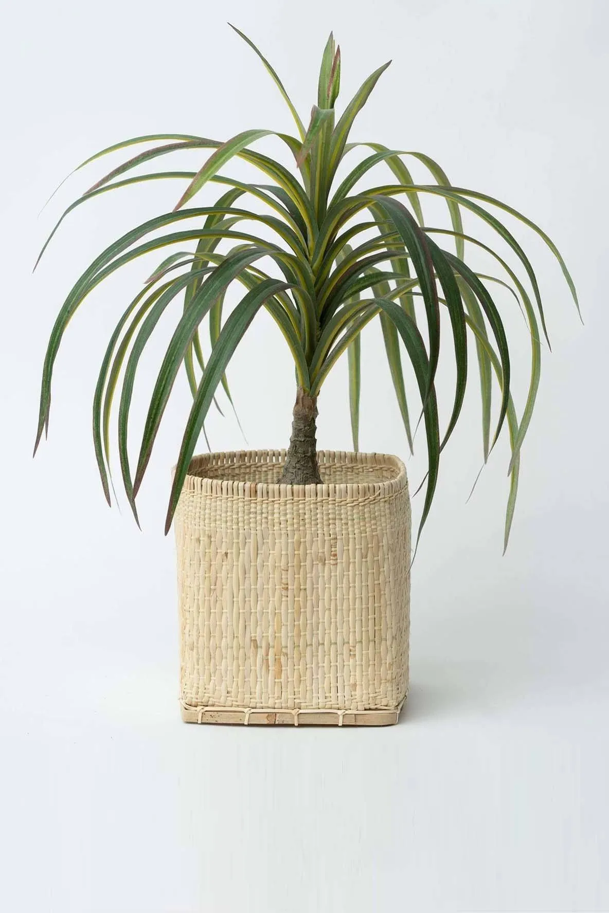 Neepa Hut Bidayuh Handwoven Small 6" Planter Basket