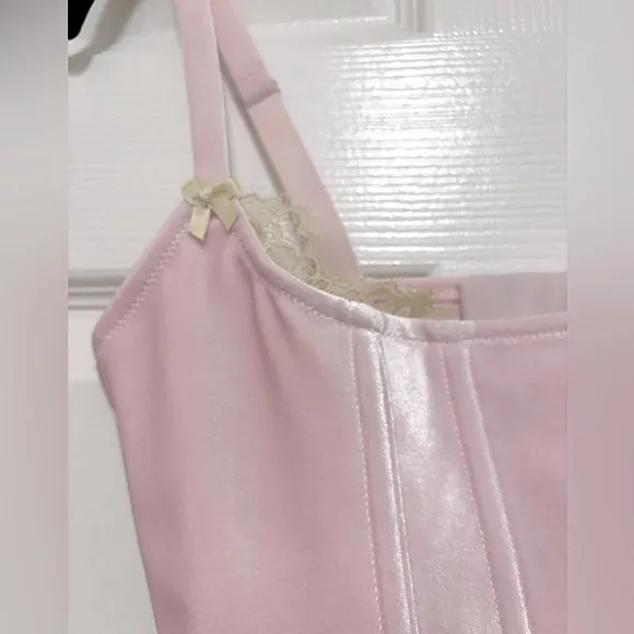 NWT SKIMS Velvet Lace Corset in Cherry Blossom