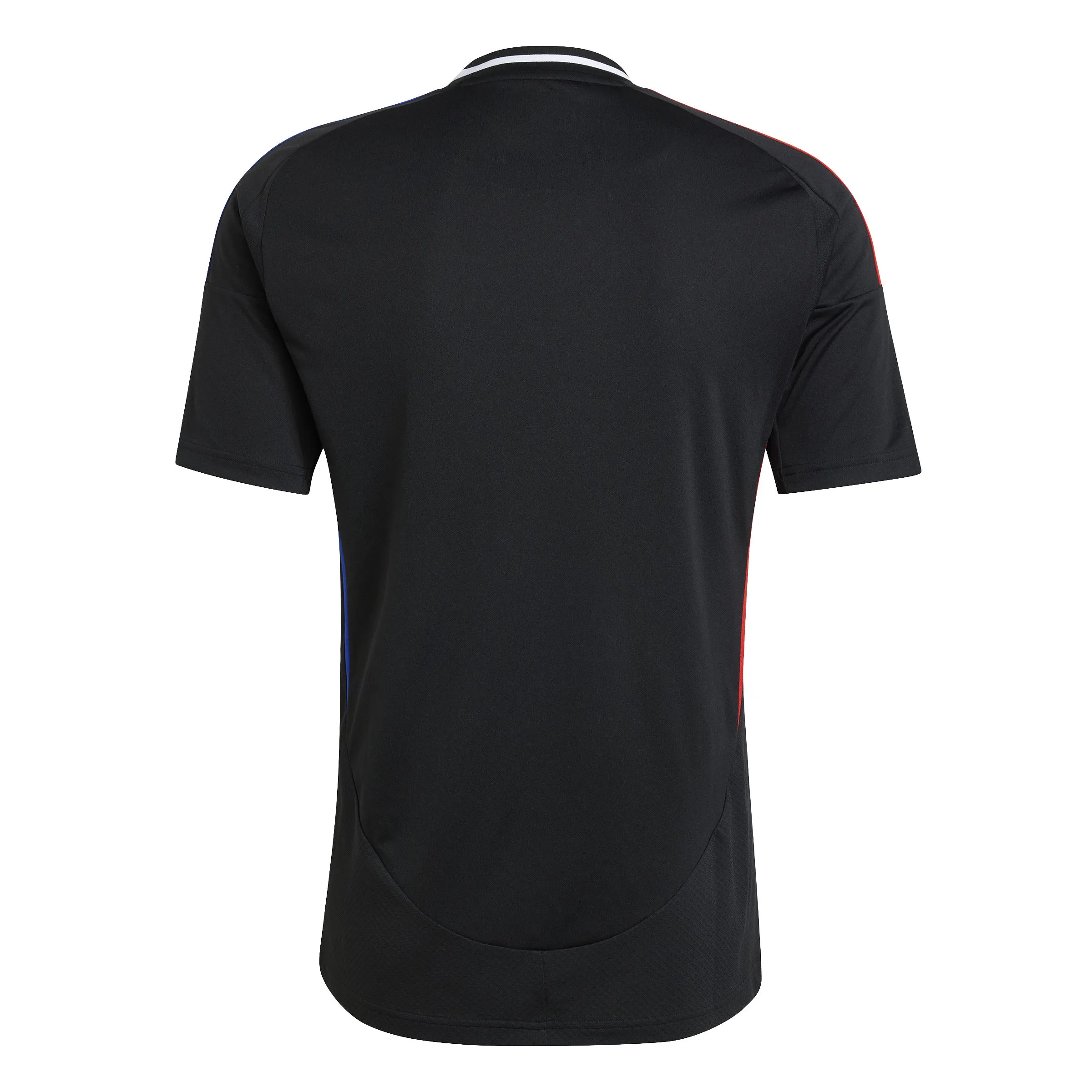 Olympique Lyon Adult 2024-25 Away Jersey