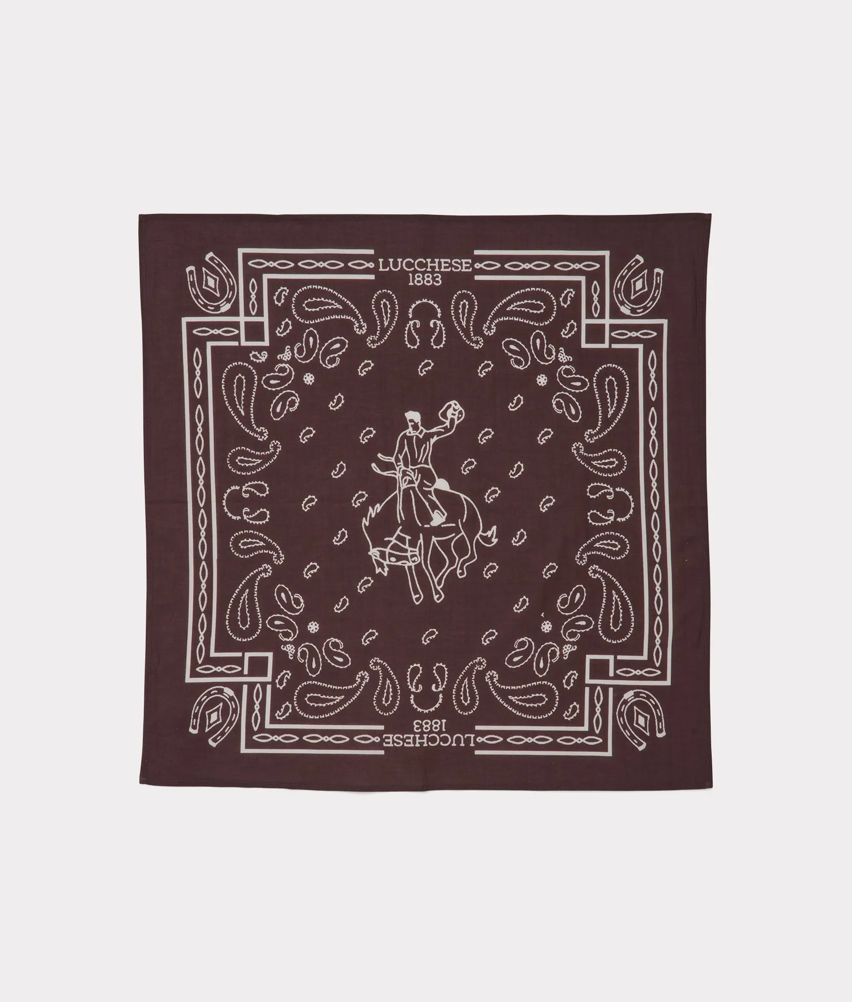 Paisley Bandana :: Brown