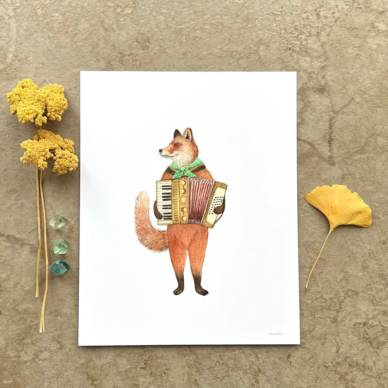 Papa's Accordion 8x10 Print