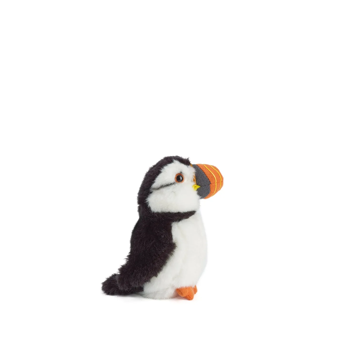 Puffin