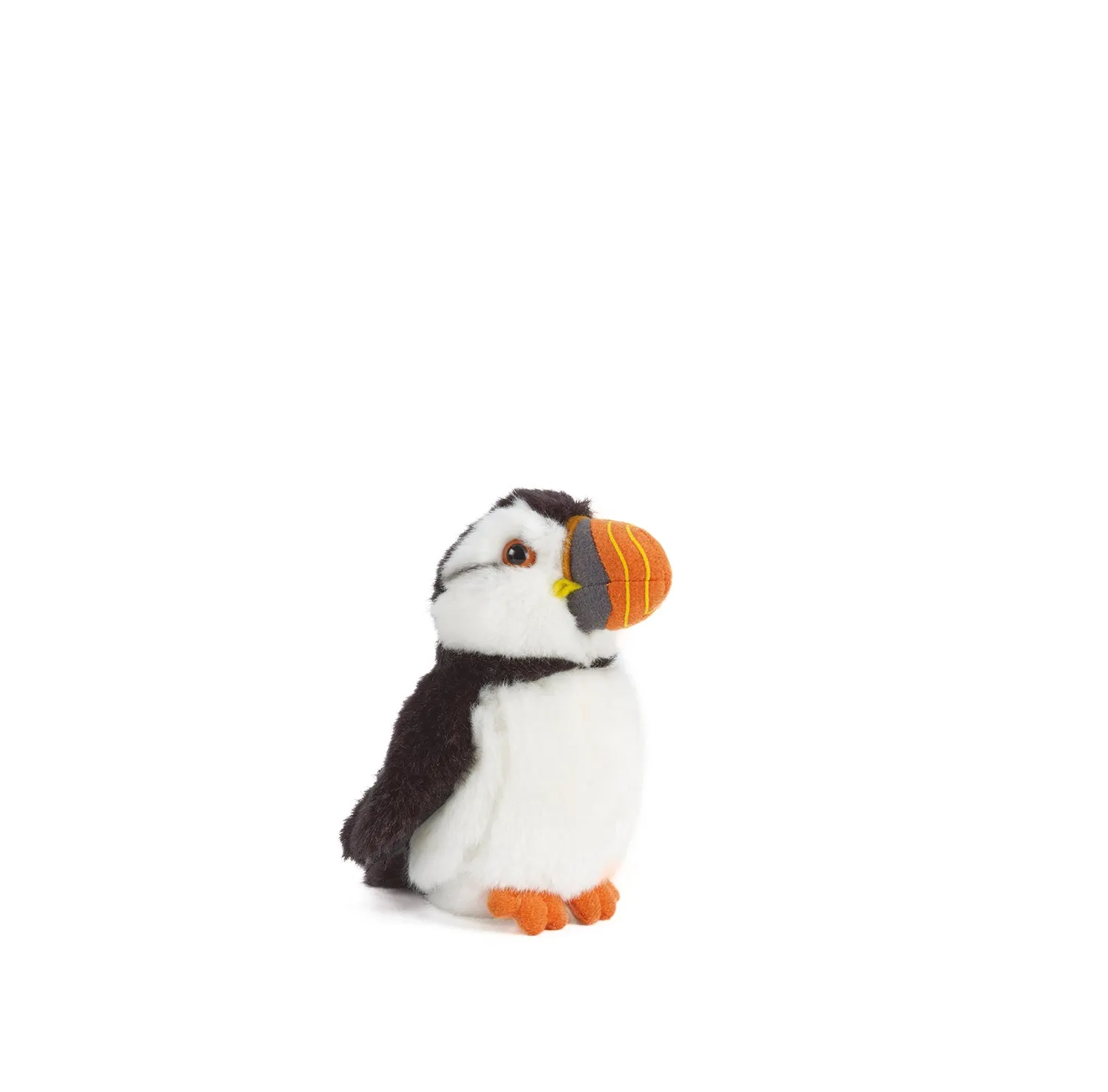 Puffin