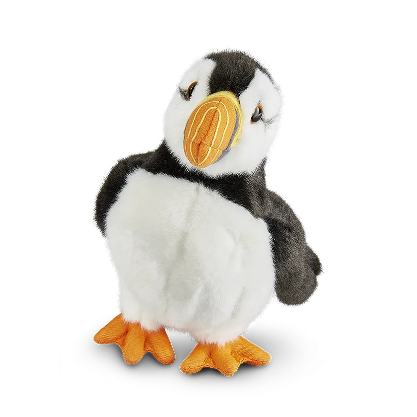 Puffin