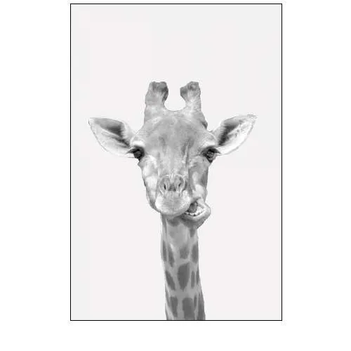 Quirky Giraffes 2