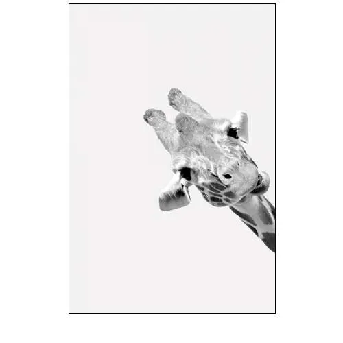 Quirky Giraffes 3