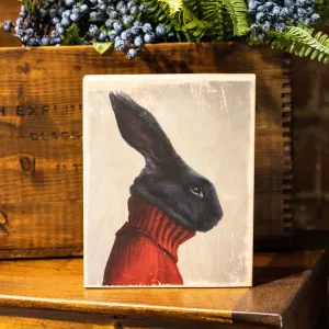 Rabbit In a Red Sweater