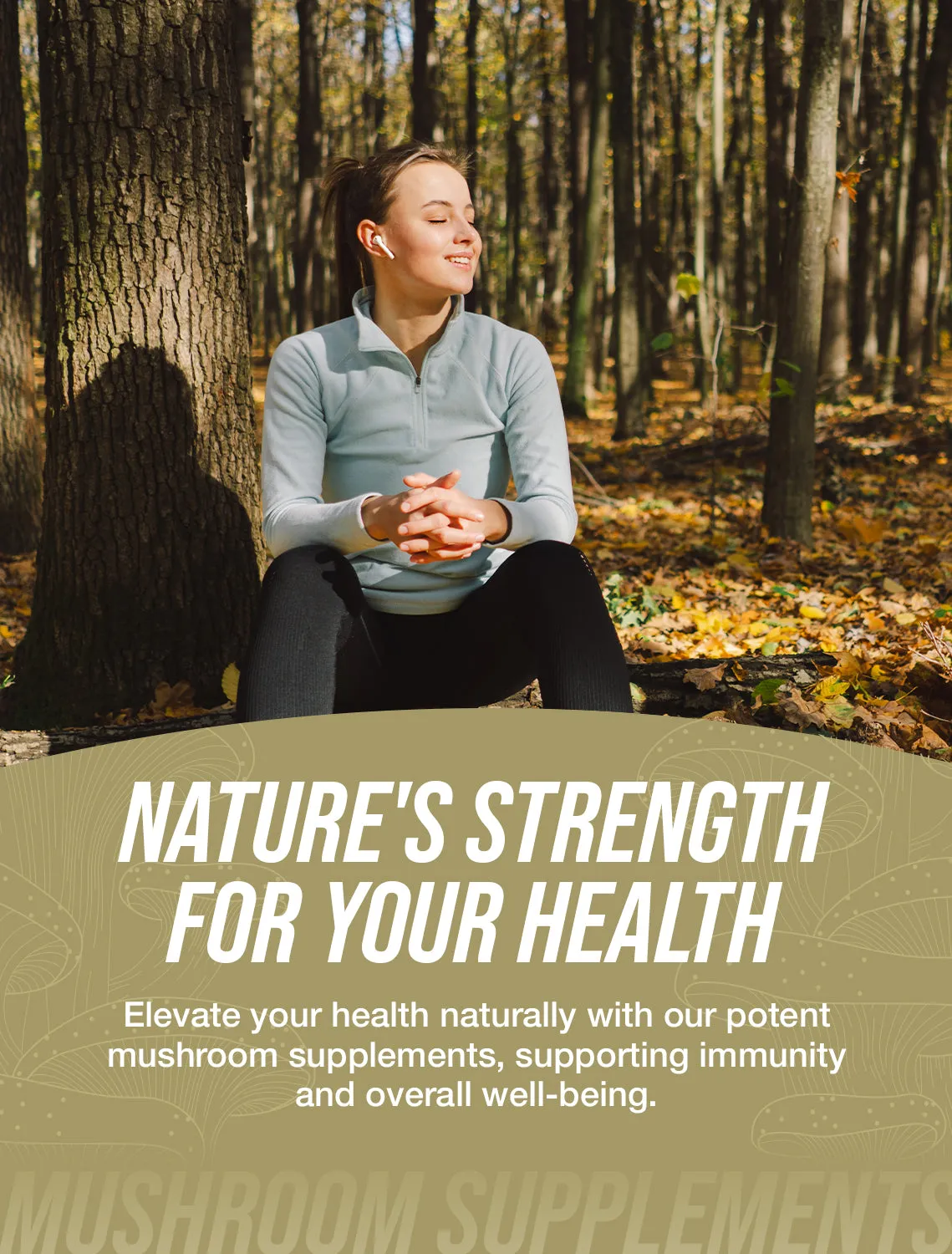 Shiitake Mushroom Extract Powder