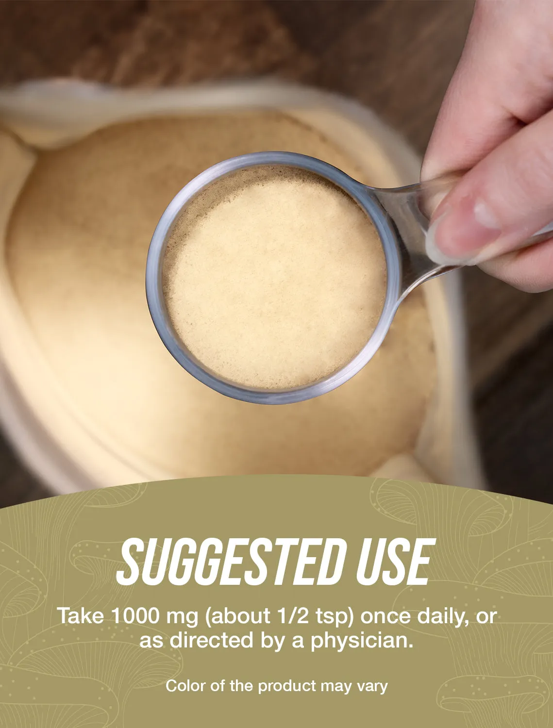 Shiitake Mushroom Extract Powder