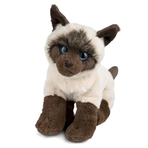 Siamese Cat