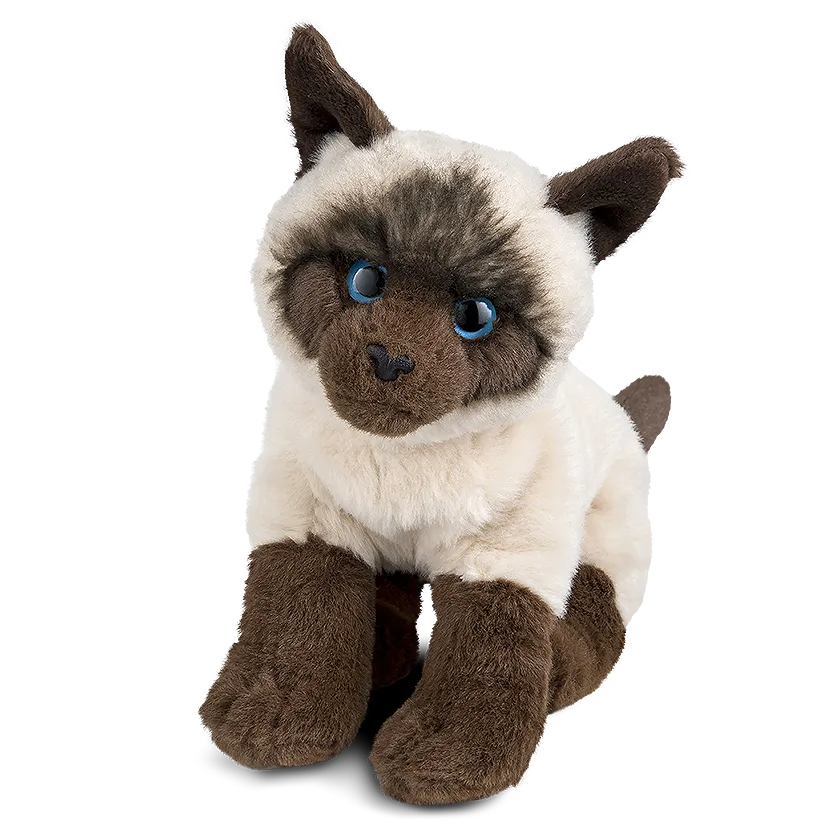 Siamese Cat
