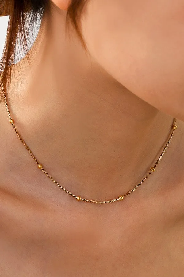 The Nina Dainty Everday Chain Necklace