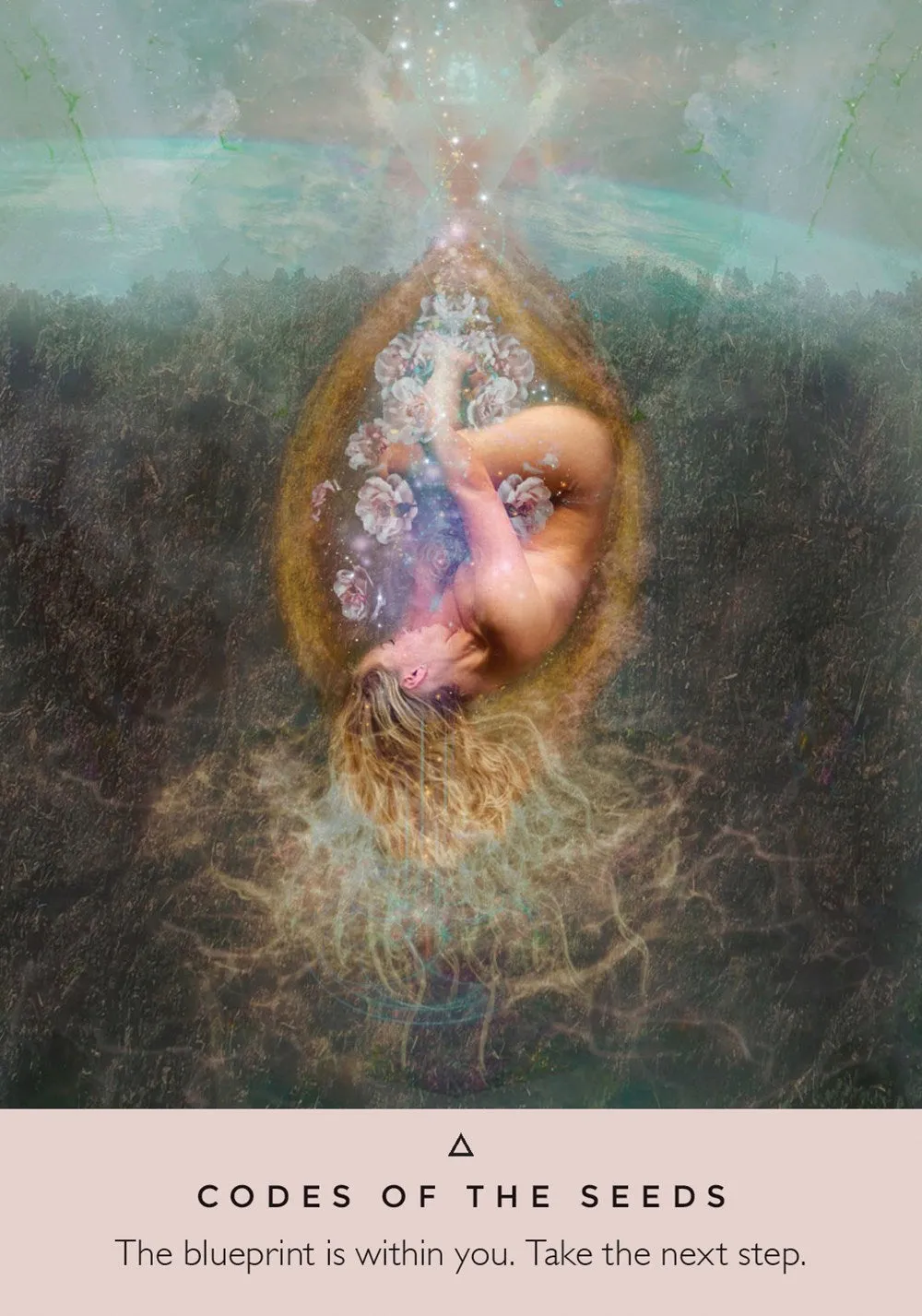 The Rose Oracle