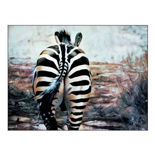 Zebra Butt Beautiful